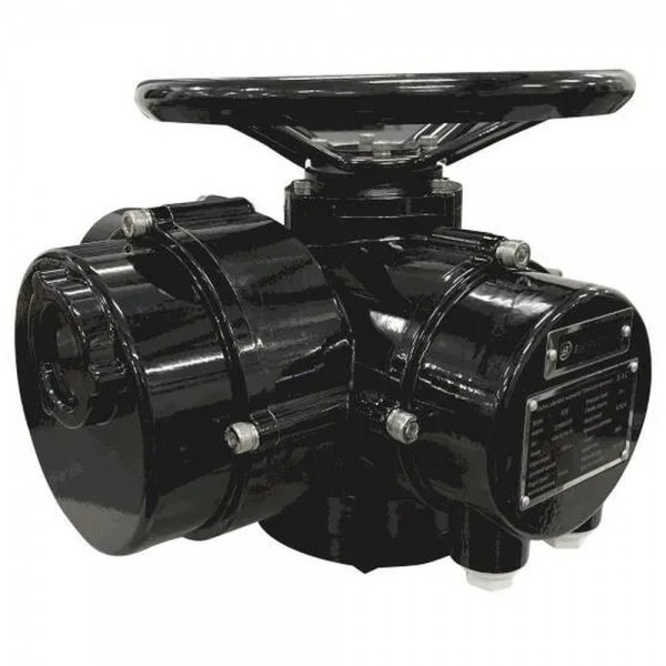 Электропривод Benarmo S-300-24 220В quot;Бquot;