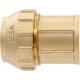 Муфта VIEIR для трубы ПНД S25x3/4quot;F (10) VER371